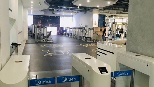 从热爱到圆梦 我的服务设计之旅与米兰理工大学PSSD申请记